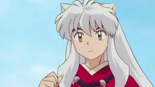 [Butterfly Words] Butterfly Ninja and Kagome whispered to Inuyasha, the result was messed up in the 