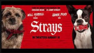 WATCH THE MOVIE FOR FREE "Strays (2023) : LINK IN DESCRIPTION