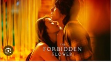 THE FORBIDDEN FLOWER Episode 10 Tagalog Dubbed