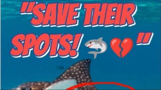 "Venom, Fingerprints, & a Race Against Time ⏳ (Spotted Eagle Ray Facts)"