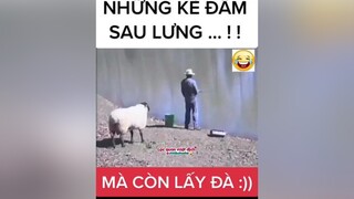 đời ghét nhất những kẻ đâm sau lưng còn lấy đà :)) nghĩ nó cay dongvathaihuoc câucá cauca badao docla cuoi cười hài haihuoc tainan viralvideo top tiktoknew xuhuong trending thinhhanh clip video vui