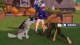 Permainan|Genshin Impact-Anjing Kamisato Ayako