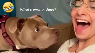 Bark At Your Dog Challenge- Funny Dog Reaction Videos| Pets Island