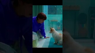 He can't believe his teacher changed into a dog🐕🤣😂#shorts #kdrama #agooddaytobeadog #viral