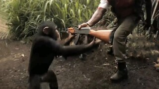 “ตำนานลิงปลูกฝังความเป็นอมตะ”