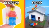 I simulated NATURAL DISASTERS in LEGO...