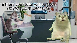 [Cat meme] ตอนที่ฉันใช้เงิน 500 หยวนเพื่อให้หมอเอาขี้หูออก