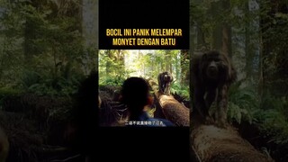 BOCIL INI DI KEJAR RAJA MONYET DI TENGAH HUTAN #alurceritaflim #film