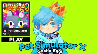 APAKAH KITA BISA TAMATKAN KEHOKIAN SAMBIL LIVE ?! - Pet Simulator X#1