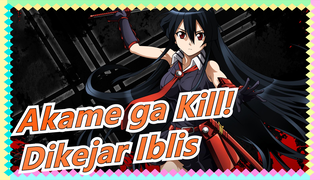 [Akame ga Kill! / Epik & Synced-beat] Dikejar Iblis Untuk terakhir Kali 1