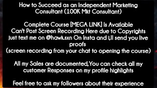 How to Succeed as an Independent Marketing Consultant (100K Mkt Consultant) course download