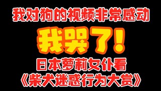 日本萝莉女仆看《柴犬迷惑行为大赏》笑麻了和感动了