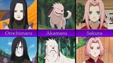 How Naruto Characters Changed in Shippuden
