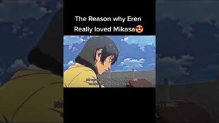 The reason why Eren Loved Mikasa