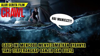 HATI HATI SAMA HEWAN INI KALO LAGI BANJIR || Alur ceria film CRAWL (2019)