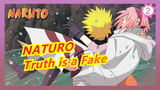 NATURO
Truth is a Fake_2
