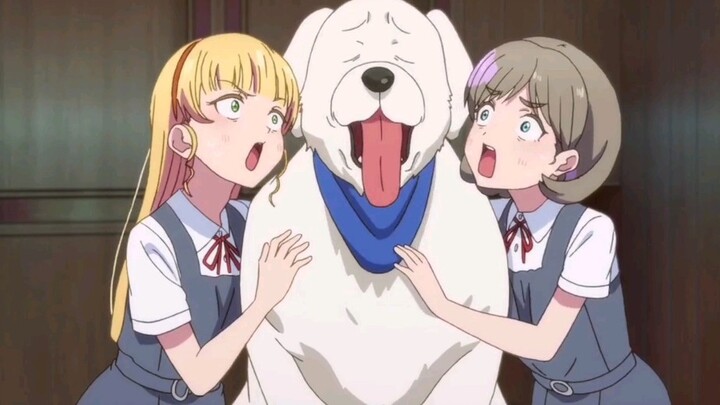 【Love Live Superstar】Dogs, please don’t scare the cute Tang Keke~