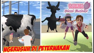 SAPI KESURUPAN DI PETERNAKAN - DRAMA SAKURA SCHOOL SIMULATOR