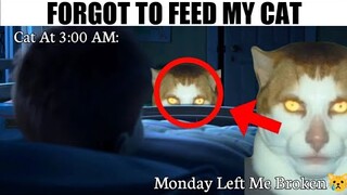 Akibat Gak Ngasih Makan Kucing...😱😨 (Monday Left Me Broken Meme)