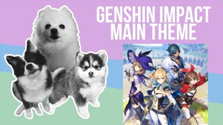 Genshin Impact Main Theme but it's Doggos and Gabe