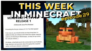 Wild Update Release Date Info + MORE! | This Week In Minecraft
