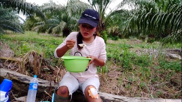 Panen sawit Harga murah || Telat panen Buah sawit brondol banyak
