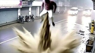 Koleksi video menarik luar negeri & koleksi perilaku hewan membingungkan #139