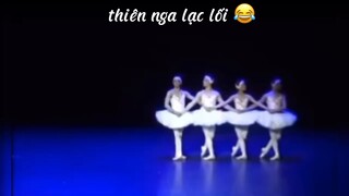 thiên nga lạc lối 😂