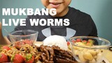 Mukbang ASMR Eating Live Worms (Korea Hongkong USA UK Singapore Philippines Thailand Canada)
