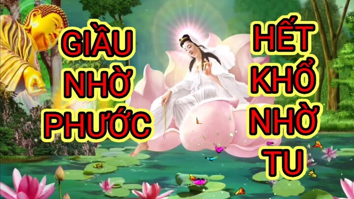 Giầu nhờ phước hết khổ nhờ tu #gnpp #tụngkinhphatgiao #moonfall#tiktok #thâythichphaphoa #gnpp