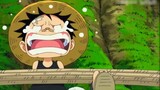 Luffy, I look forward to your future [One Piece/Children's Day Special/ASL]