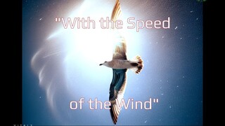 💥 "With the Speed of the Wind" 📱 "Life"