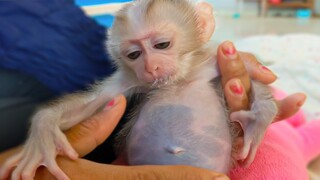 OMG, Wow Look at Luca's belly it's so big  Luca drinking a lot of milk, He's so healthy & strong