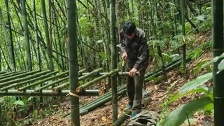 building house in the forest💚