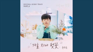 Cherryblossom After Winter Instrumental (겨울 지나 벚꽃 Instrumental)