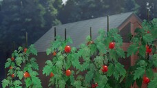 Around 40 Otoko no Isekai Tsuuhan Sub Indo Eps 04