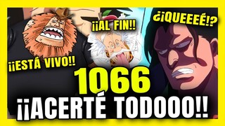 ONE PIECE 1066 ⏩ *ODA OJALÁ ME HAGAS UN HIJO* ¿¡SAUL ESTÁ VIVOOOOO!? ¿¡MONKEY D DRAGON QUEEEE!?😱😱