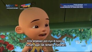Upin & Ipin Musim 18 - Bunga Tai Ayam - Upin Ipin Terbaru 2024