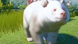 [Game] Building a Habitat for Pandas [Planer Zoo #18]