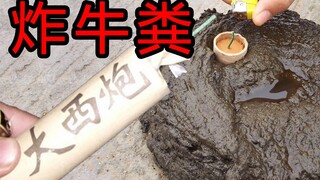 某UP用大鞭炮挑战炸牛屎