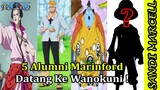 5 Alumni Perang Marineford Datang Ke Wanokuni | 2020