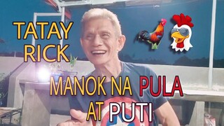 TATAY RICK: MANOK NA PULA AT PUTI