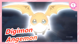 Digimon | [TVB / Sulih Suara Kanton] Transformasi Patamon Menjadi Angemon_1