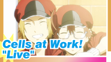 [Cells at Work!]"Live"