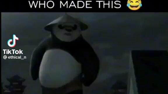 The missing chapter of Kung fu panda 2