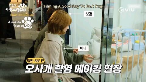 A Good Day To Be A DOG || Episode 1 [BEHIND THE SCENE]