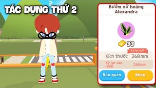 Play Together | Tác Dụng Thứ 2 Của Các Loài Côn Trùng Mới Trong Khu Cắm Trại Nha