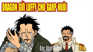 DRAGON GỬI LUFFY CHO GARP NUÔI và cái kết | Bác Năm Online mới nhất