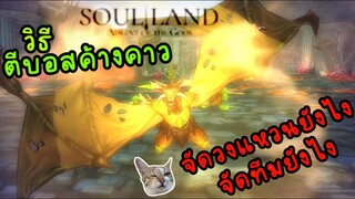 เกม soul land advent of the gods วิธี ตีบอส ค้างคาว บวกจัดวงแหวนยังไง จัดทีมยังไง