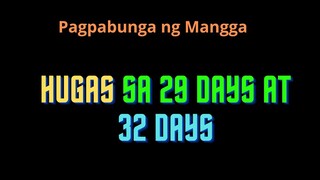 29 days at 32 days Hugas